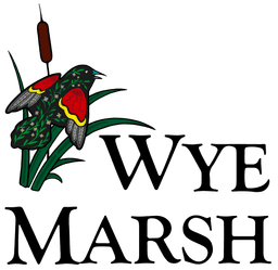 Wye Marsh Wildlife Centre