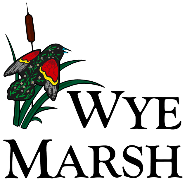 Wye Marsh Wildlife Centre